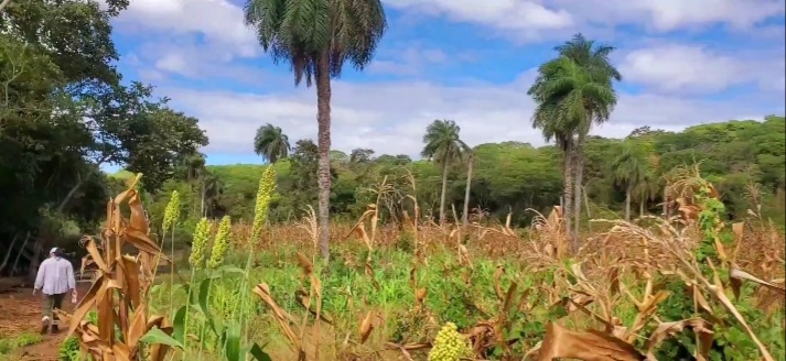 nagarote-farm-nicaragua